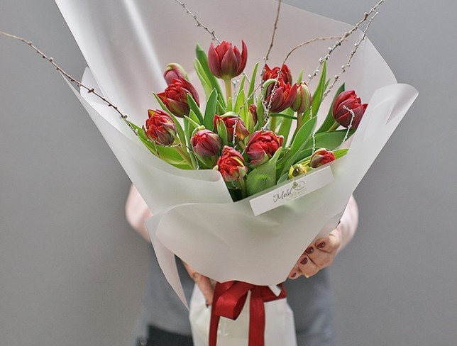 Bouquet of Dutch peony-style burgundy tulips photo